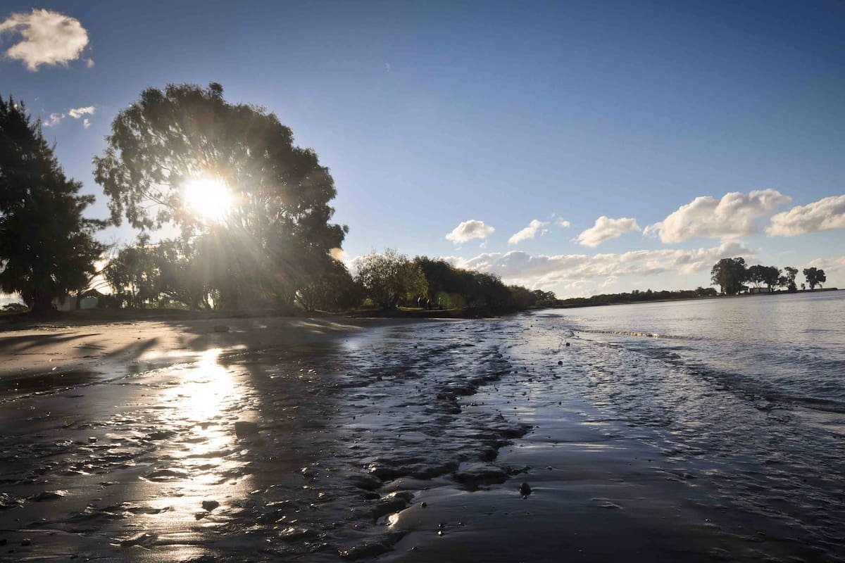 Pipinas tiene donde refrescarse