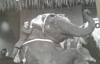 Pipo Mancera protagonizó mil "locuras". Un sábado sorprendió a sus espectadores entrando al estudio de Sábados Circulares montado en un elefante