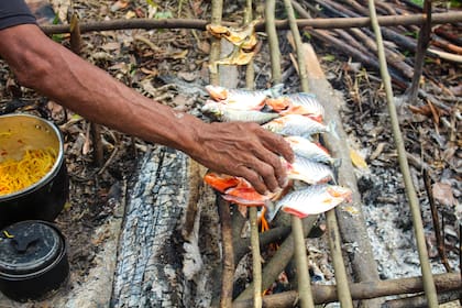 Pirañas siendo asadas en la zona del Amazonas