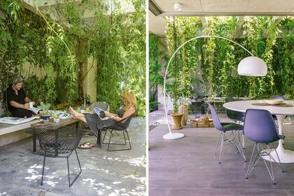 Piso de hormigón llaneado y banco también cementicio. Sillones ‘Diamond Bertoia’ (Manifesto). Las plantas de hoja caduca filtran la luz fuerte del verano.