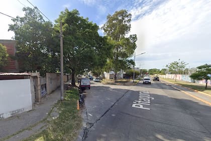 Pitágoras y Mansilla, Gerli