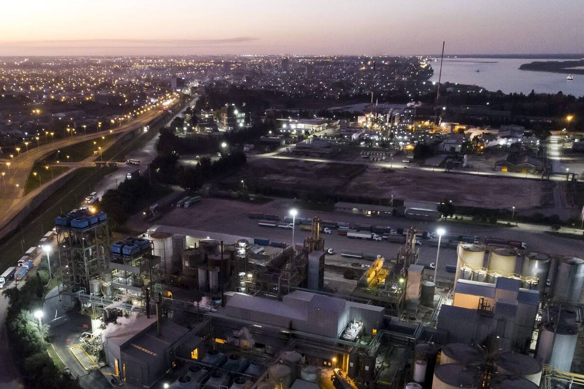 planta vicentin