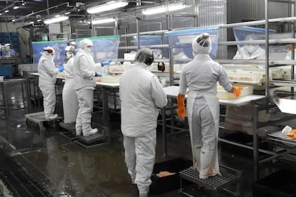 Planta expropiada por el gobierno de Chubut en 2014, hasta ahora gestionada por Red Chamber Argentina