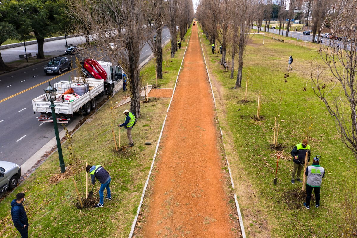 Plantación en el nuevo Parque del Arroyo Vega