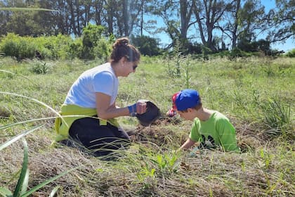 Plantación de árboles en la Reserva El Potrero, una nueva baldosa en la Ruta Verde