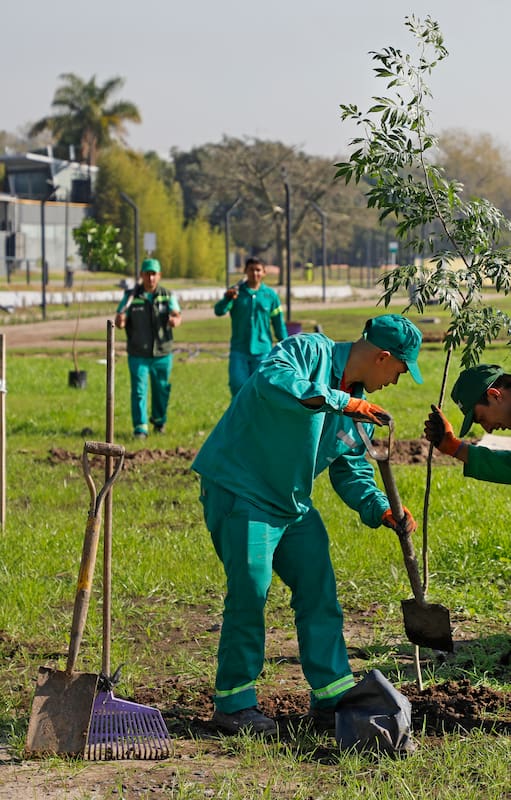 Plantación en el nuevo Parque del Arroyo Vega
