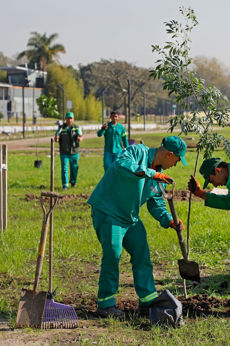 Plantación en el nuevo Parque del Arroyo Vega