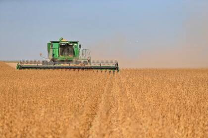 Plantaciones de soja