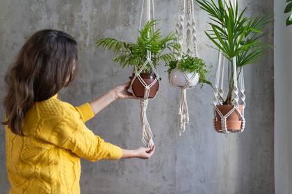Plantas de interior para decorar tu hogar no solo en macetas en el piso sino también en altura