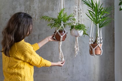 Plantas de interior para decorar tu hogar no solo en macetas en el piso sino también en altura