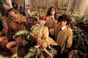 Plantas en el universo de Harry Potter