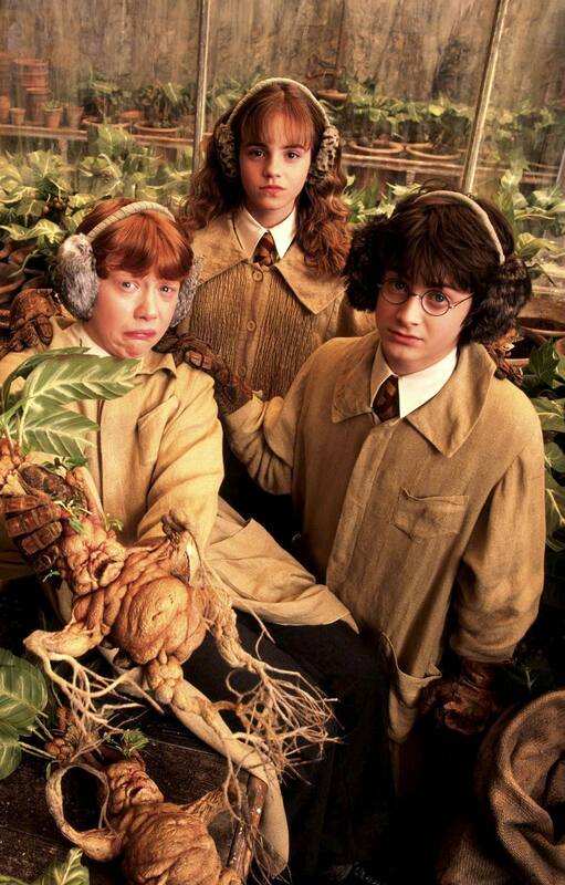 Plantas en el Universo de Harry Potter