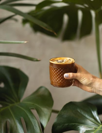 Plantas y café frío, una gran combinación en Fauna.