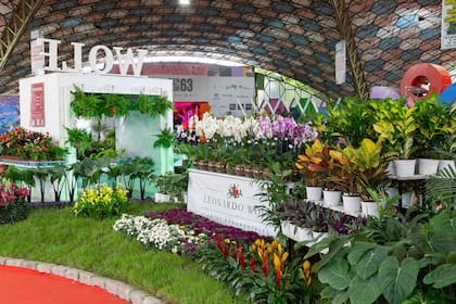 Plantas y flores son las protagonistas en los pabellones de Escobar