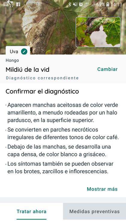 Plantix