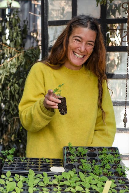 Plantines de espuelas de caballero que pueden llevarse al cantero en esta época