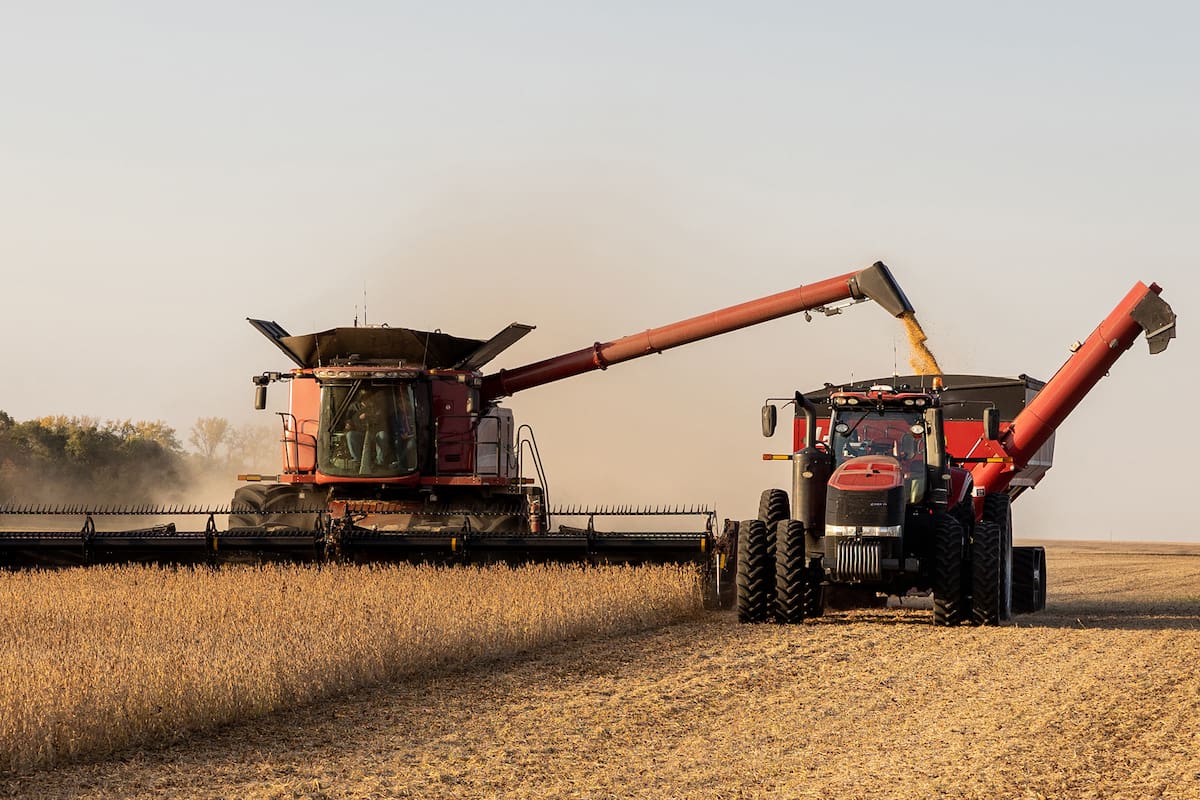 Planting Season 2020