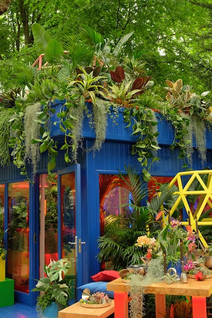 Plants by There es la empresa en donde James Whiting logró independizarse y cosechar logros como la medalla de oro en Chelsea 2025