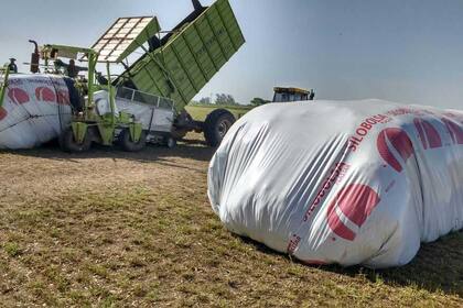 Plastar estará en la muestra