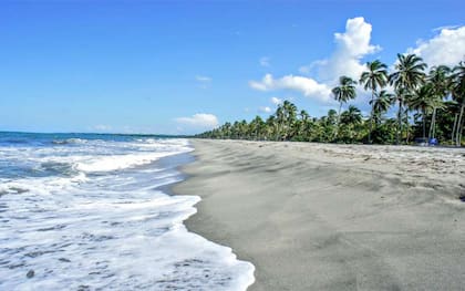 Playa Palomino.