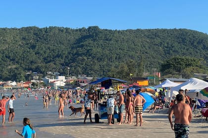 Playas de Florianópolis, uno de los destinos elegidos de los argentinos