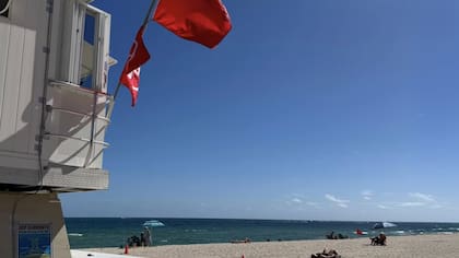 Playas de Florida en alerta por esta situación
