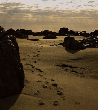 Playas desérticas, avistaje de fauna marina y atardeceres de postal