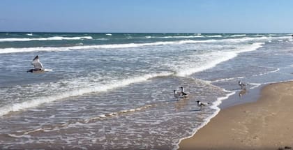 Playas vírgenes e inexploradas, Soth Padre, Port Isabel