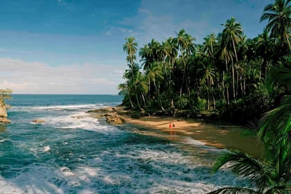 Playas y senderos en la Reserva Natural de Gandoca Manzanillo.