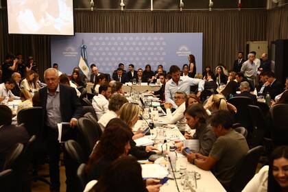 Plenario de comisiones de la Cámara de Diputados: del dictamen al próximo tratamiento en el recinto de la ley ómnibus