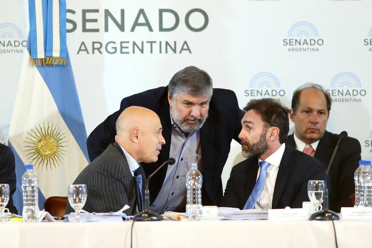 Plenario de comisiones en el Senado para retomar el debate de la Ley Bases y el paquete fiscal