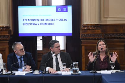 Plenario de comisiones en el Senado por el Tratado de Cooperación en materia de Patentes (PCT).