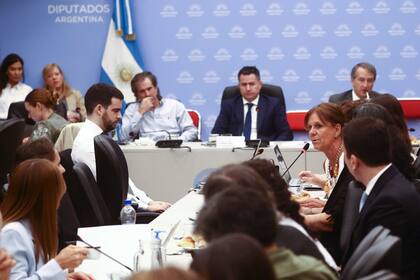 Plenario de comisiones en la Cámara de Diputados