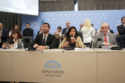 Plenario de comisiones en la Cámara de Diputados