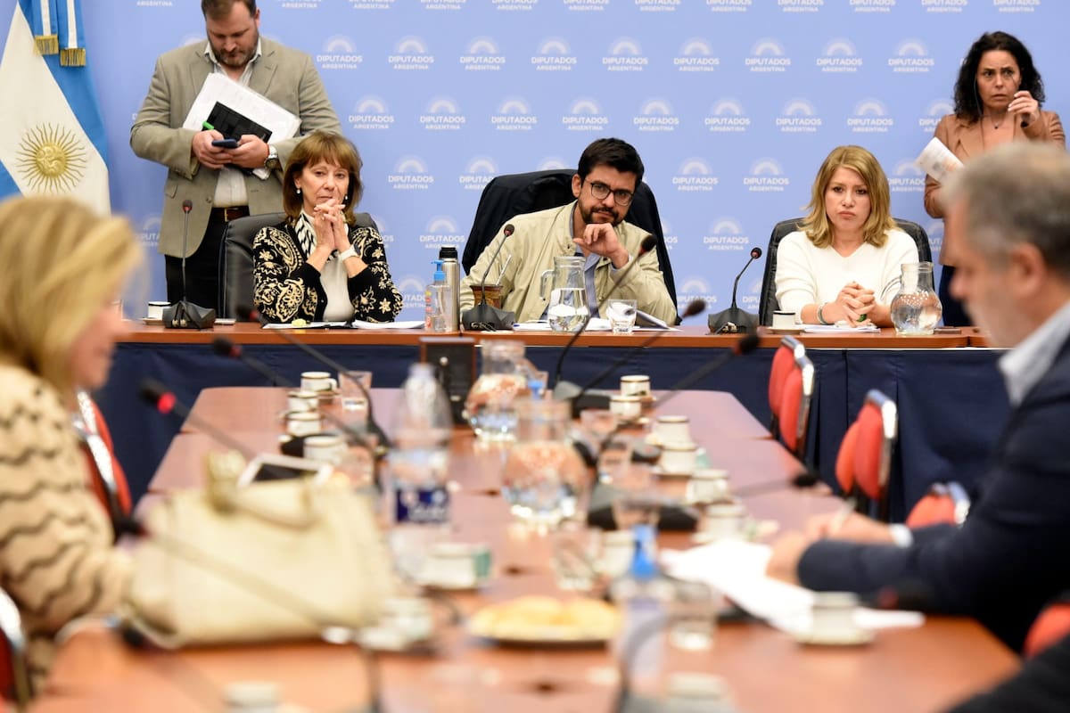 Plenario de las comisiones de Legislación General, Legislación Penal y Finanzas de Diputados