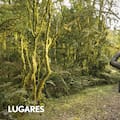 El parque nacional en altura con cientos de aves y sectores solo aptos con guía