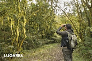 El parque nacional en altura con cientos de aves y sectores solo aptos con guía