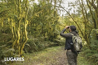 El parque nacional en altura con cientos de aves y sectores solo aptos con guía