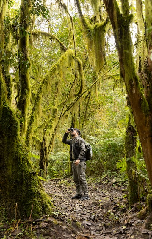 Binocular en mano, el guía Leonardo González explora la yunga en busca de aves.