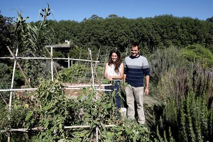 Poblaron las veredas de frutos comestibles con la idea de incentivar el autocultivo y el consumo de alimentos frescos, agroecológicos y amigables con el planeta
