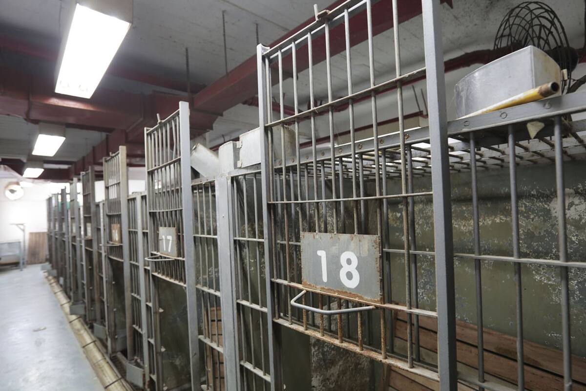 Poco espacio y oscuridad, el denominador de las jaulas del Pasteur, que serán reformadas