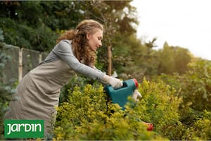 Podés aprovechar el invierno para realizar tareas de mantenimiento y ocuparte de la sanidad de las plantas.
