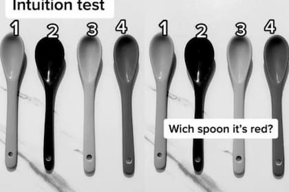 ¿Podés descubrir cuál es la cuchara roja?