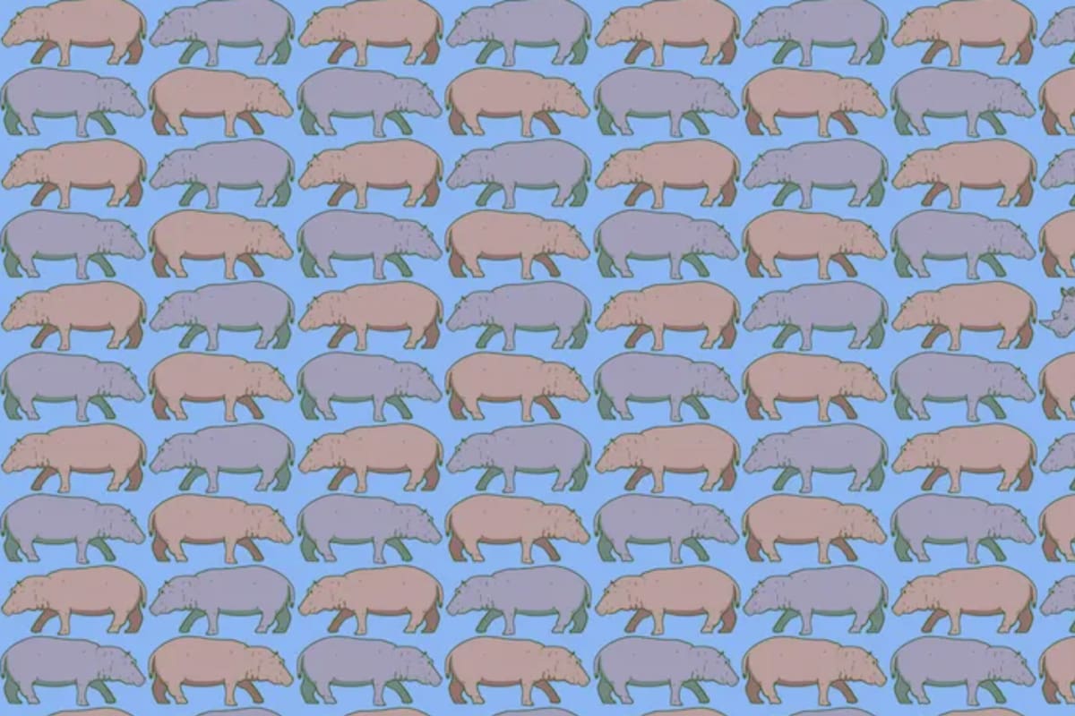 ¿Podrás encontrar a los tres rinocerontes escondidos?