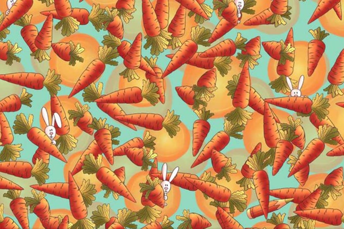 ¿Podrás encontrar el lápiz en el tiempo estipulado?