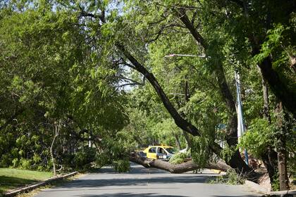 Podría haber ráfagas de 90 kilómetros por hora en las zonas afectadas por el viento Zonda