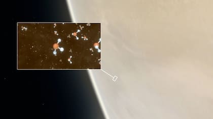 La fosfina es el gas que se detectó en la atmósfera venusina, un compuesto que puede ser producido por microbios y por lo tanto, es un indicador de la existencia de vida