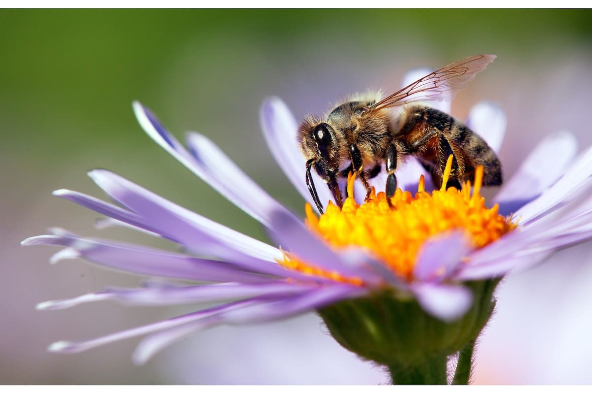 Podríamos llenar resmas de papel con todos los conceptos asociados a esta imagen, sus ecos y los ecos de sus ecos. Nosotros también pensamos con "tags"