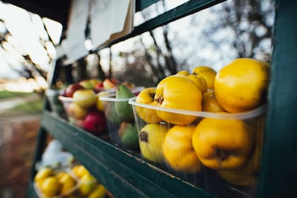 Podrían limitar un máximo de artículos en cajas de autocobro (Unsplash)