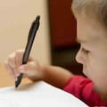 Cerebro y escritura